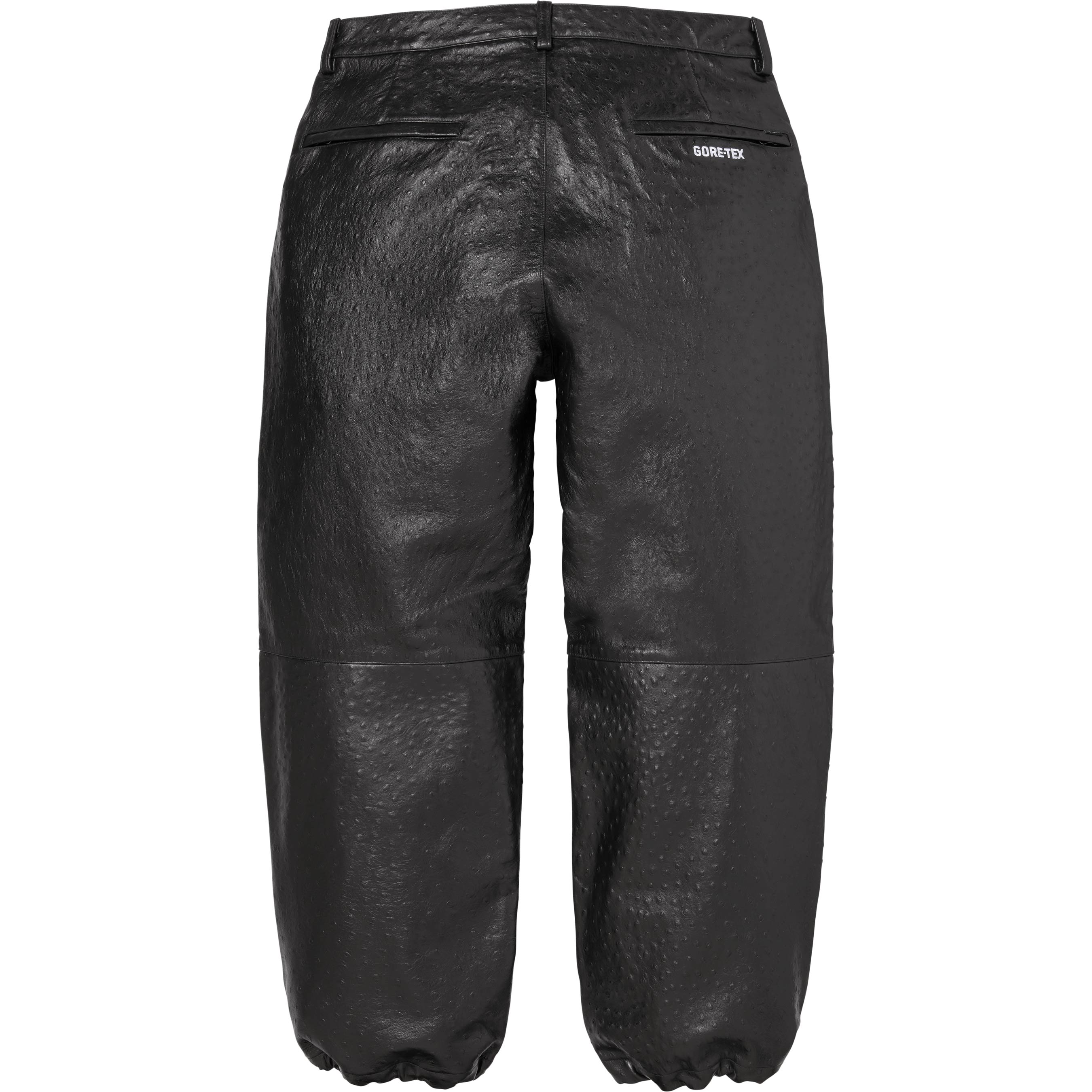 GORE-TEX Ostrich Embossed Leather Pant view 6